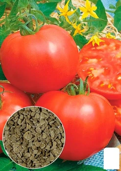 На развес Томат "Гигант из Хотта" Agro-Market цена за 1г (178424)