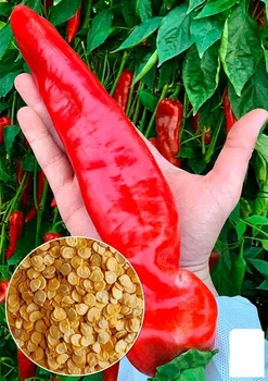 Перец острый "Ацтек" (Зипер) Agro-Market 1г (177954)