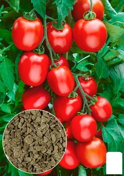 На вагу Томат "Гейзер" Agro-Market ціна за 2г (178429)