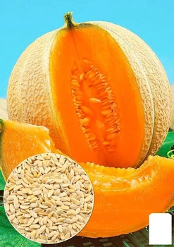 На развес Дыня "Искушение" Agro-Market цена за 5г (177664)