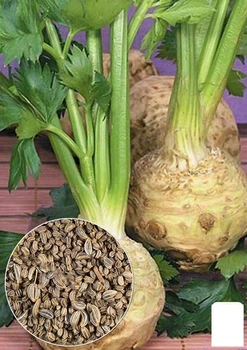 На развес Сельдерей корневой "Яблочный" Agro-Market цена за 2г (22081)