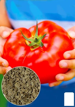 На вагу Томат "Алабай" Agro-Market ціна за 1г (178625)