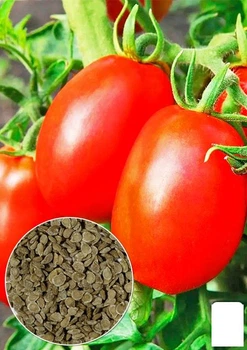 На развес Томат "Арабат" Agro-Market цена за 1г (178651)