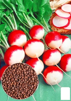 На развес Редис "Румянец" Agro-Market цена за 10г (178519)
