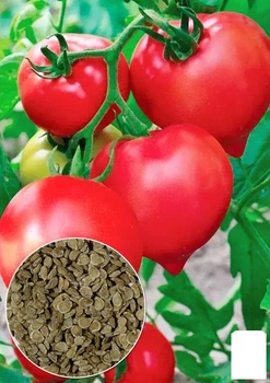 На развес Томат "Алсу" Agro-Market цена за 1г (178407)