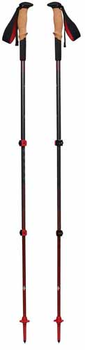 Kije trekkingowe Black Diamond Pursuit Shock S/M szare/czerwone 1 para 110-125 cm (1879409)