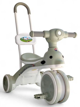 Дитячий велосипед з батьківською ручкою Delfi 605-1 Mint-White
