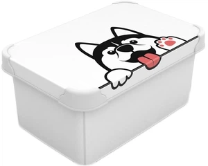 Контейнер Qutu Style Box Pet, 5 л