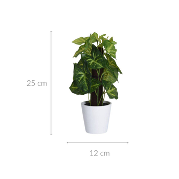 Sztuczne syngonium w doniczce Home Styling Collection 25 cm (5902973440843)