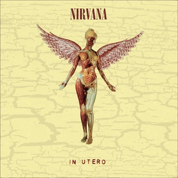 Виниловая пластинка Nirvana – In Utero (2LP) Limited Edition, Remastered, 30th Anniversary