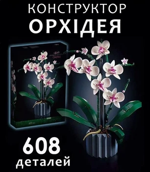 450479451.jpg