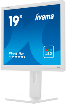 Монітор 19" iiyama PROLITE B1980D-W5 LED (4948570121373)