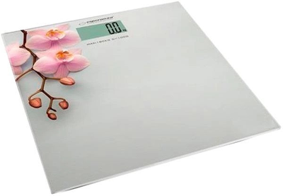 Весы напольные Esperanza EBS010 180 кг 4612771
