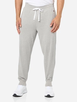 Спортивні штани чоловічі Tommy Hilfiger 177516429 XL Сірі (1159864235)