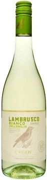 Вино напівігристе Civ&Civ Lambrusco dell'emilia Bianco Amabile біле напівсолодке 0.75 л 7.5% (8001929316977)