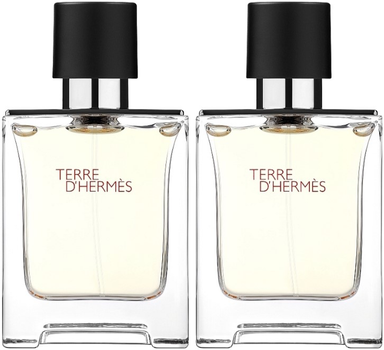 Набір для чоловіків Туалетна вода Hermes Terre D'hermes 2х50 мл (3346130010647)