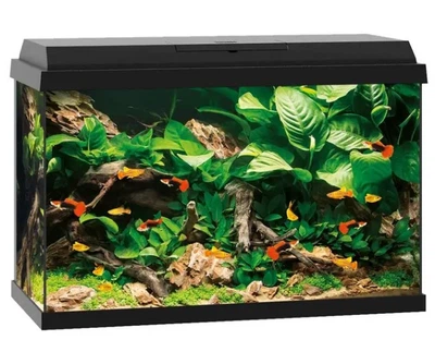 Акваріумний набір Juwel «Primo 70 LED» 70 л, 61x44x31см