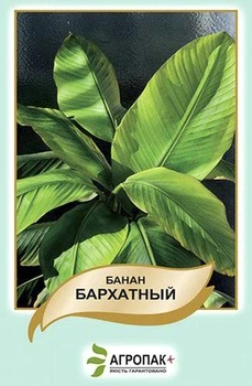 Семена Банан бархатный, 5 семян Агропак 43412