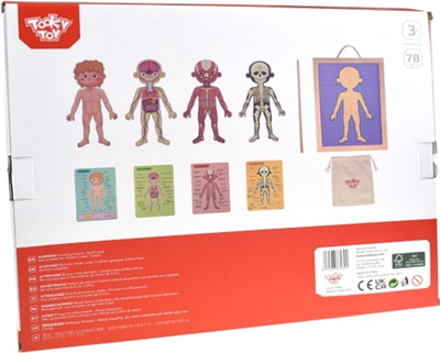 Puzzle drewniane Tooky Toy Montessori Nauka Anatomia człowieka 41 kh 33 kh 4 cm 78 elementów (6972633372301)