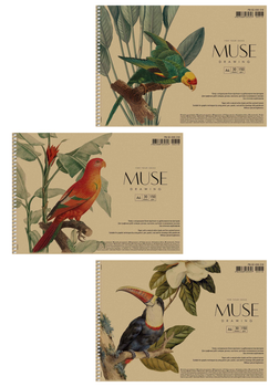 Альбом для малювання 3 шт. MUSE. Альбом Школярик 30 арк. А4 PB-SC-030-318 4823088235357