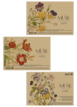 Альбом для малювання 3 шт. MUSE. Альбом Школярик 30 арк. А4 PB-SC-030-320 4823088235333