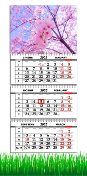 Календарь на 2025 год, Apriori ,Календарь настенный квартальный на 2025 год , на три пружины , Цветы, Сакура, Природа , 29,7х61 см