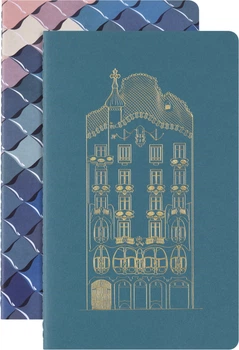 Набор тетрадей Moleskine Cahier Casa Batllo 13 х 21 см 2 шт по 80 страниц нелинованный (8056999272753)