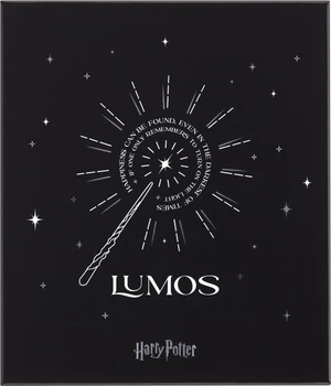 Zestaw Moleskine Harry Potter Notatnik 13 x 21 cm w linie + długopis roller Kaweco + pudełko (8056999272197)