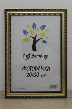 Фоторамка 20Х30, золото-коричневый с золотым обрамлением, 333-х811-10, СКЛО +КАРТОН