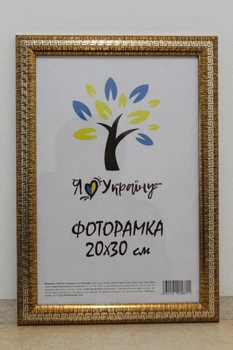 Фоторамка 20Х30, золотая с серебряной змейкой, 2416-261S, СКЛО +КАРТОН