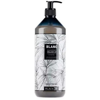 Шампунь для об'єму з екстрактом бамбуку Black professional line Volume Up 1000мл (8008423410125)