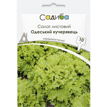 Салат Одесский кучерявець, 10 г, СЦ Традиция