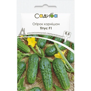 Огурец Титус F1, 0,5 г, СЦ Традиция