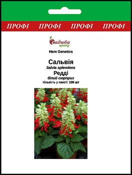 Сальвия Редди, белый сюрприз, 100 шт Садиба Центр