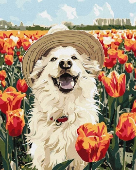 Картина по номерам 40×50 см. Счастливый лабрадор ©art_selena_ua. Идейка КНО6623
