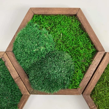 Сота с миксом мхов в рамке размер 18х15 рамка деревянная Natural Wood