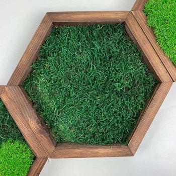 Сота с Плоским мхом в рамке размер 18х15 рамка деревянная Natural Wood