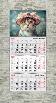 Календарь настенный квартальный котик в шляпе ENTERSTORE 63,0х29.7 см (ART 250304)