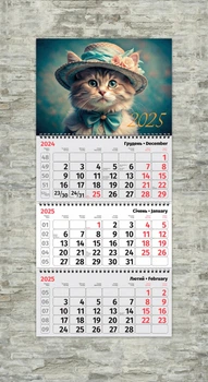 Календарь настенный квартальный котик в шляпе ENTERSTORE 63,0х29.7 см (ART 250305)