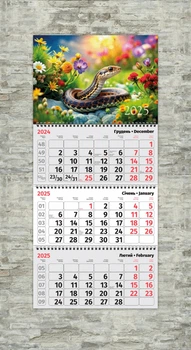 Календар настінний квартальний Рік змії ENTERSTORE 63,0х29.7 см (ART 250310)