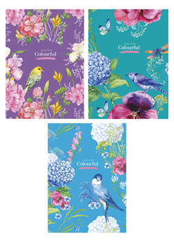 Набір 3 шт, блокнотів для записів Colourful. Блокнот Школярик у клітинку А5 50 арк. 817 A5-GB-050-817K 4823088200393