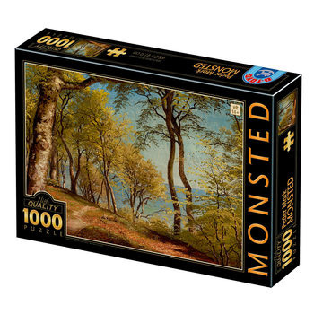 Puzzle D-Toys Peder Mork Monsted Brzozy na wybrzeżu 68 x 47 cm 1000 elementów (5947502877417)