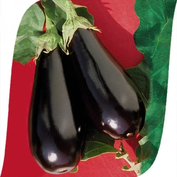 Семена баклажана Эпик F1, Seminis, 20 шт.