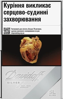 Блок сигарет Davidoff Silver Slims х 10 пачек (4030600213414)