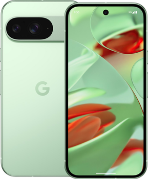 Мобільний телефон Google Pixel 9 12/256GB Wintergreen (840353911611)