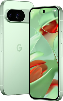 Мобільний телефон Google Pixel 9 12/256GB Wintergreen (840353911611)