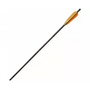 Стрела Poe Lang "болт" Carbon 20" Black (D-067B)