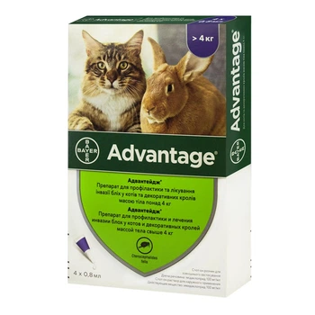 Капли Advantage - 80 от блох для котов весом от 4 до 8 кг, 4 пипетки
