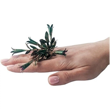 Кільце Queen Flora SETA Decor 23-522GR-BZ