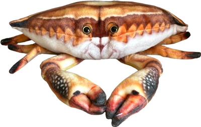 Maskotka Dubi Krab 31 cm (5905965332270)